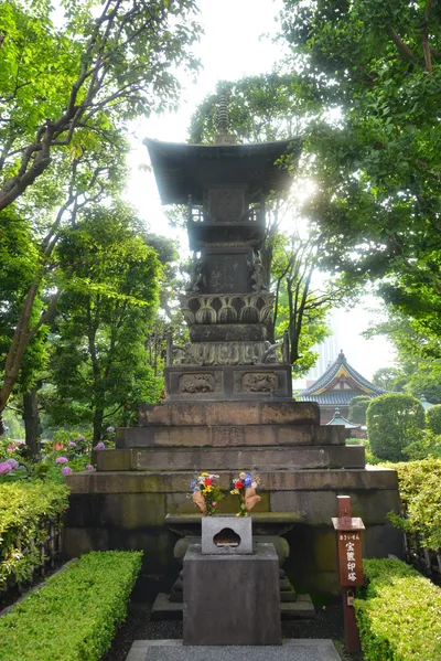 DSC_3503 (Large).JPG